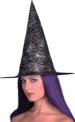 Unbranded Fancy Dress Costumes - Black Witch Hat With Silver Cobwebs