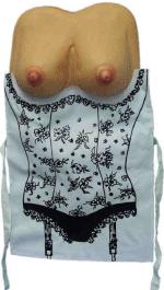 Unbranded Fancy Dress Costumes - Boobs Apron