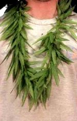 Unbranded Fancy Dress Costumes - Cannabis Leaf Garland