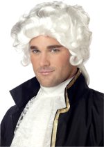 Unbranded Fancy Dress Costumes - Colonial Man Wig