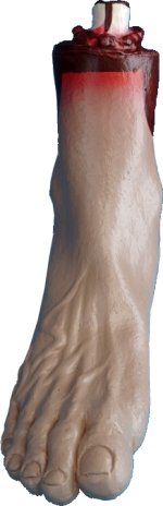 Fancy Dress Costumes - Gory Foot