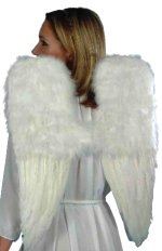 Unbranded Fancy Dress Costumes - Large Angel Wings 50cm x 60cm Black