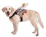 Unbranded Fancy Dress Costumes - Pet Dog Riders - Cowboy