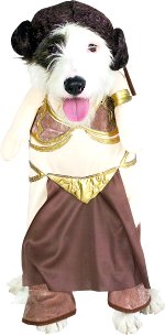 Unbranded Fancy Dress Costumes - Pet Princess Leia Slave Outfit Small