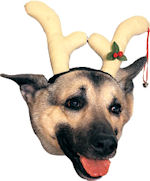 Unbranded Fancy Dress Costumes - Pet Reindeer Antlers