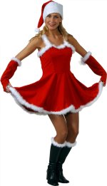 Unbranded Fancy Dress Costumes - Sleeveless Sexy Miss Santa Dress 16 EU 42
