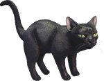 Unbranded Fancy Dress Costumes - Witch Cat Decoration