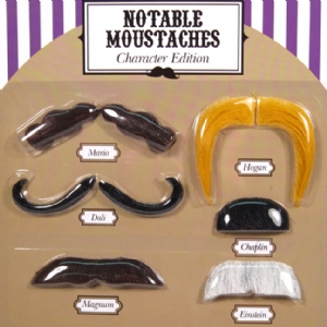 Unbranded Fancy Dress Moustaches - Character Edition
