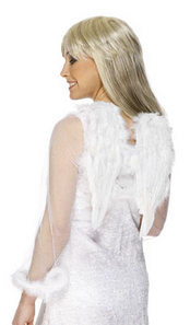 Unbranded FEATHER WINGS