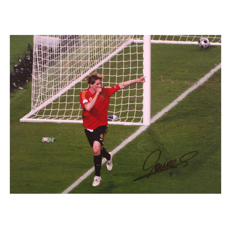 Unbranded Fernando Torres Signed Photo - Euro 2008 Winner