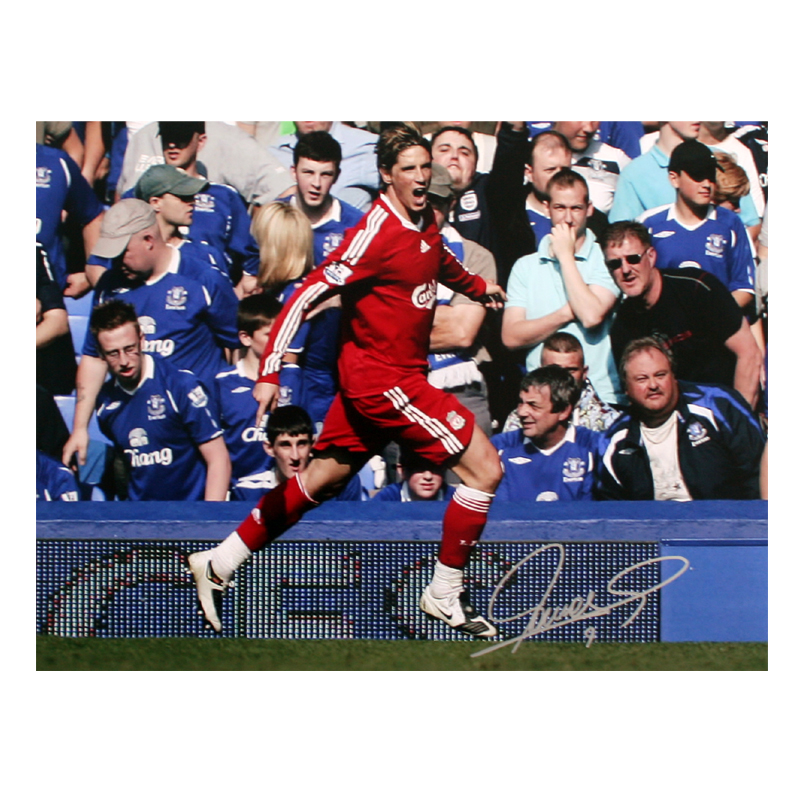 This superb photograph shows Fernando Torres, Liverpools number nine, celebrating after scoring agai