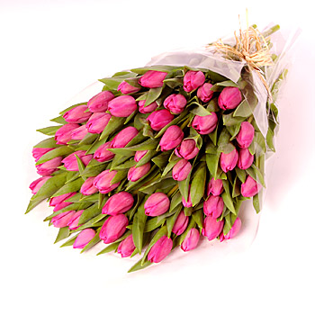 Unbranded Fifty Pink Tulips - flowers