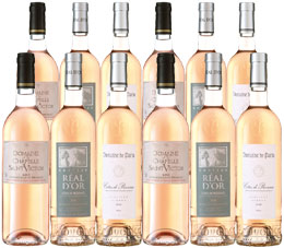 Unbranded Fine Provence Roses - Mixed case