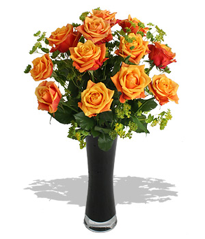 Unbranded Finest Bouquets - A Dozen Orange Roses