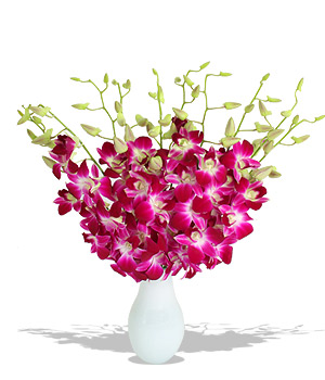 Unbranded Finest Bouquets - Bali Hai - c