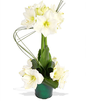 Unbranded Finest Bouquets - Heikki Lunta