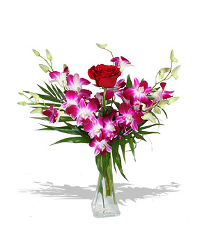 Unbranded Finest Bouquets - Velvet Crush - c