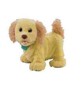 Unbranded Fisher-Price; Puppy Grows and Knows Your Name