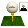 Flashing Golf Ball