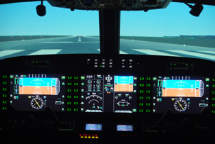 Unbranded Flight Simulator