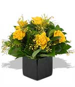 Flowers - Cubed Yellow roses