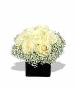 Send a wink and a smile Creamy dreamy white roses framed in a border of snowy white buds make a