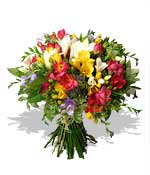 Flowers - Freesia Bouquet