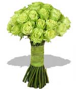 Flowers - Mass of Green Roses