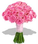 Flowers - Mass of Pink Roses