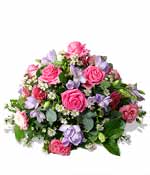 Flowers - Seasonal with Pink Roses
