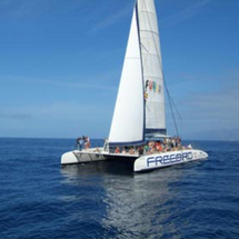 Relax and top up your tan as your spacious catamaran gently sails through the coastal waters of Tene
