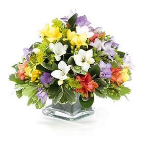 Unbranded Freesia Temptation Bouquet Flower Delivery