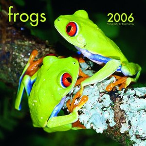 Frogs 2006 calendar