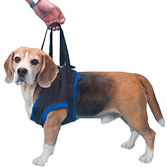 This harness is great for pets that are physically challenged or have structural limitations and can