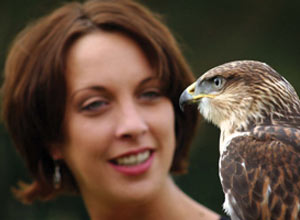 Unbranded Full day introduction to falconry