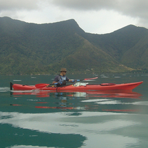 Unbranded Full Day Marlborough Sounds Guided Kayak Trip -