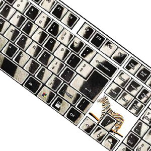 Unbranded Funkeyboards Computer Keyboard Stickers - Zebra