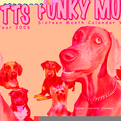 Funky Mutts 2006 calendar