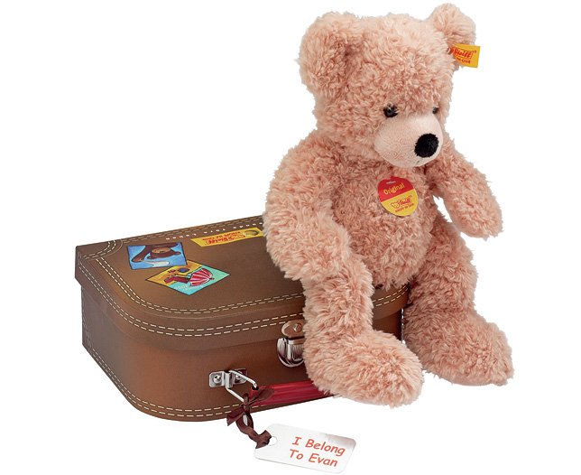 Unbranded FYNN- Steiff Teddy and Suitcase, Personalised