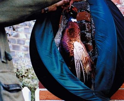 Unbranded GameSafe - Protect Pheasants and other game 1607P