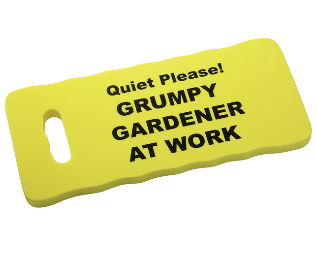 Garden Thermometer And Kneeler Only 