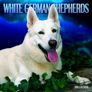 German Shepherd - White Calendar