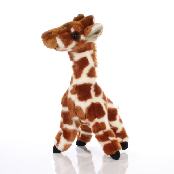 Mr Giraffe is a very popular cuddly toy and makes a lovely gift