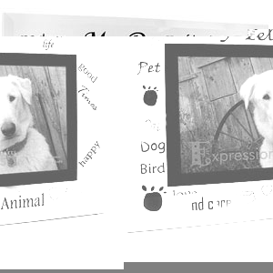 Unbranded Glass My Pet 4 x 6 Photo Frame