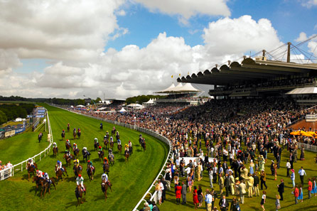 Unbranded Glorious Goodwood Gordon Enclosure Admission for