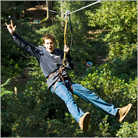 Unbranded Go Ape High Wire Adventure for Two (Weekday Only Voucher)