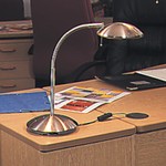 Goose Neck Halogen Table Lamp