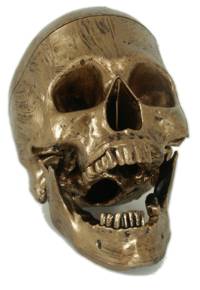 Gothic Realistic Skull Bronze