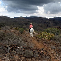 Unbranded Gran Canaria Horse Riding Trip - Adult