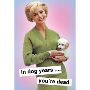 Unbranded Greeting Cards - In Dog Years Youre Dead